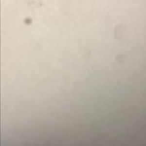 Meet your Posher, Melinda